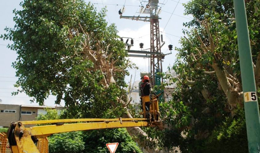 עובדי חברת החשמל. צילום ארכיון: אלירם משה