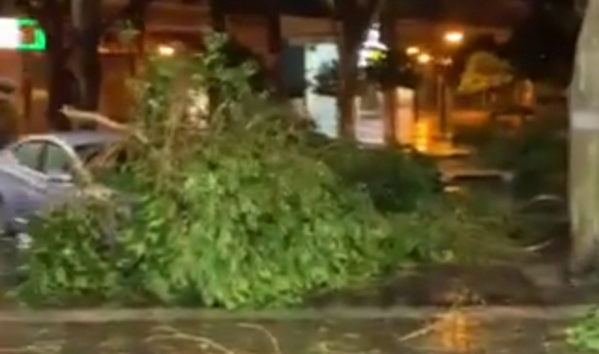 רחוב אלי כהן, הערב. צילום: שחר בוחבוט