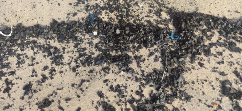 פתיתים שחורים בחוף. צילום: עמותת צלול