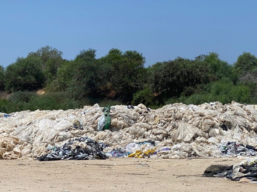 פסולת חקלאית. צילום: יח"צ / איגוד ערים אשקלון