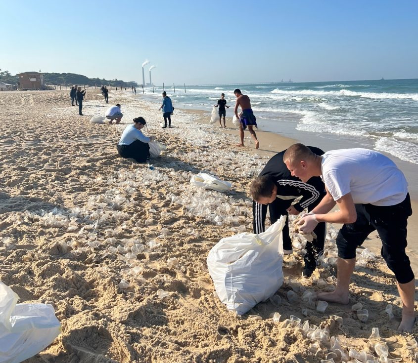 מנקים את החופים. צילום: דוברות עיריית אשקלון