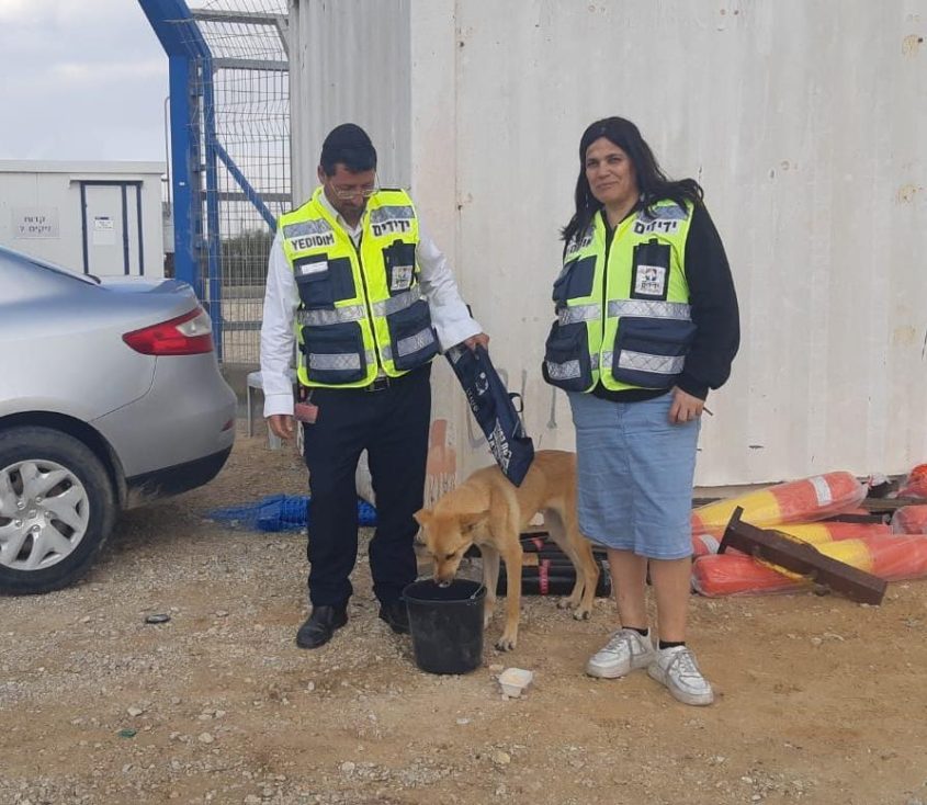 המתנדבים יחד עם הכלב לאחר החילוץ. צילום: ידידים
