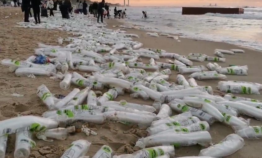 אלפי שרוולים של כוסות חד פעמיות בחוף הים