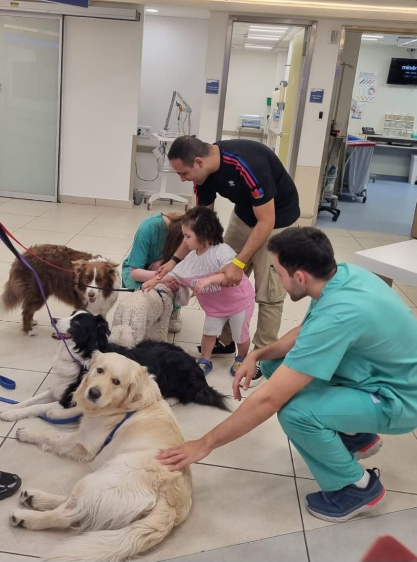 כלבים טיפוליים בברזילי. צילום: דוברות ברזילי