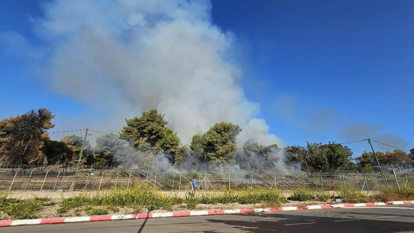 שריפה בגן הלאומי אשקלון. צילום: אמנון זיו