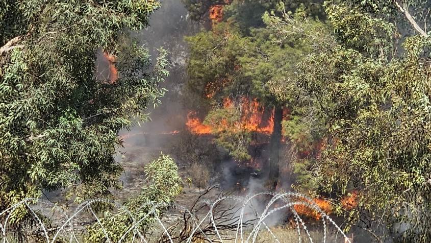 שריפה בגן הלאומי אשקלון. צילום: אמנון זיו