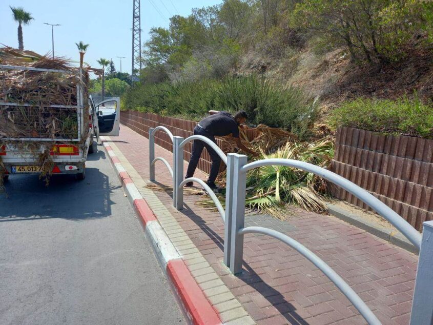 סכך לסוכה. צילום: דוברות עיריית אשקלון