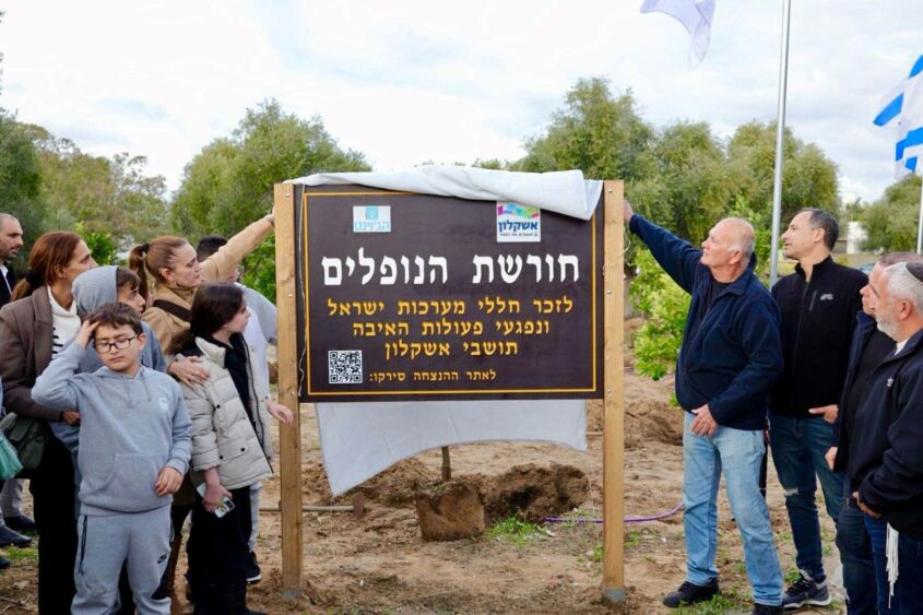 חורשת הנופלים. צילום: אלדד עובדיה