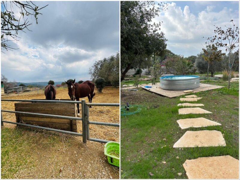 ריטריט לצעירי אשקלון והעוטף