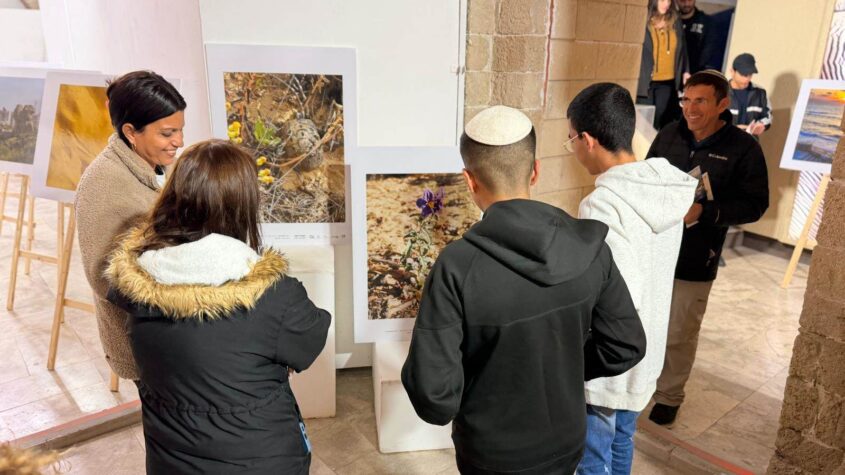 מתוך התערוכה 'בשבילי העיר'. צילום: סיון מטודי