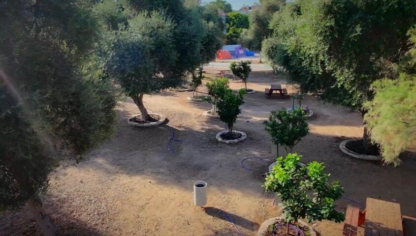 חורשת הנופלים. צילום: אשר דיין