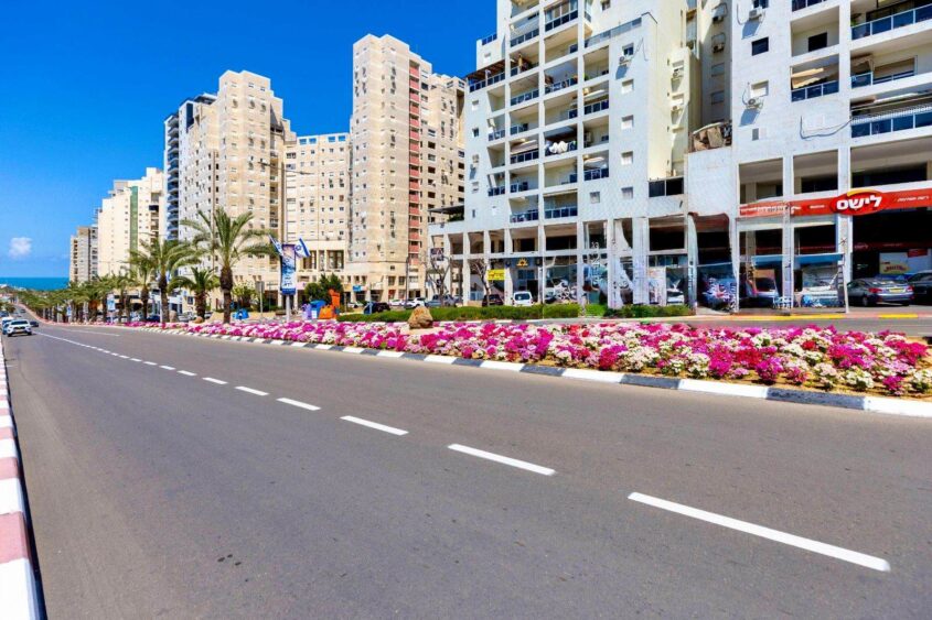 פרחים באשקלון. צילום: סיון מטודי