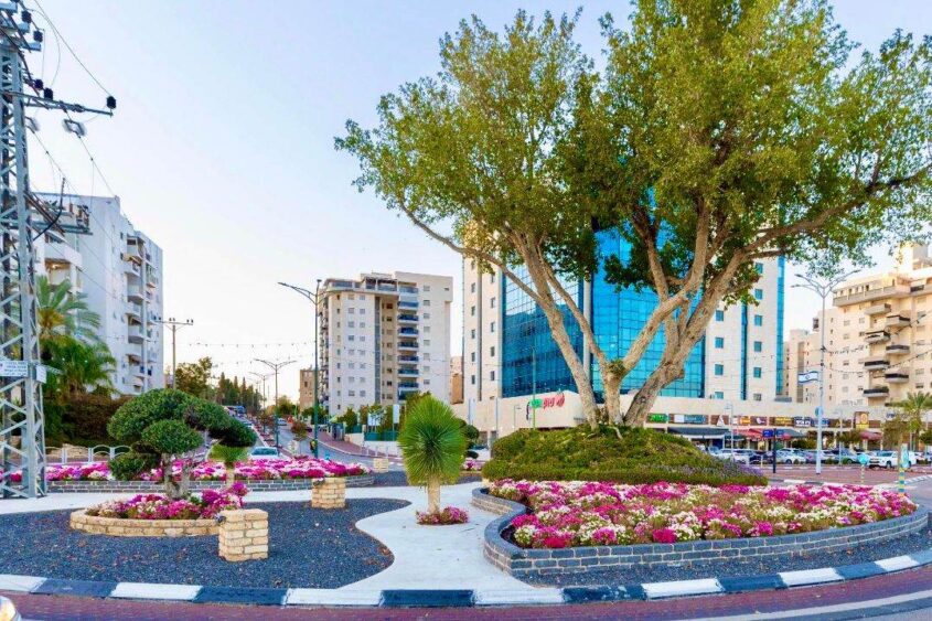 פרחים באשקלון. צילום: סיון מטודי