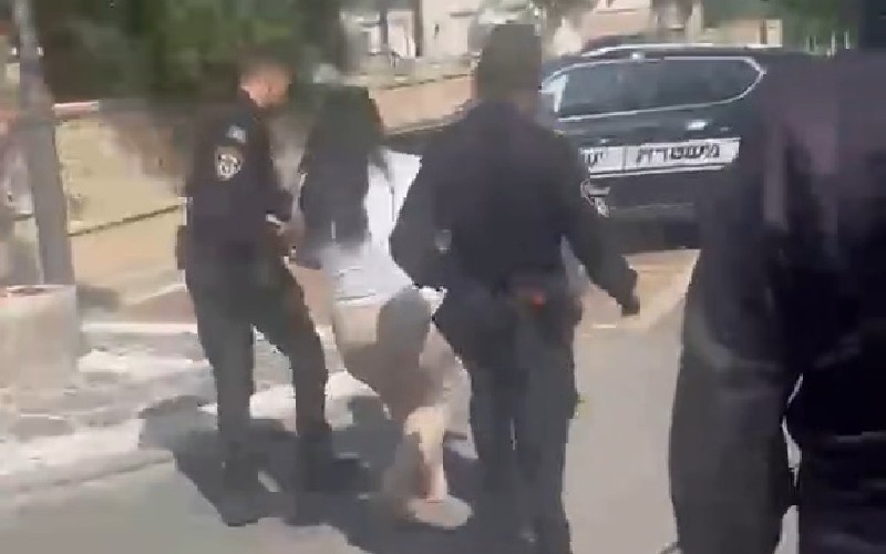 עיכוב בגלל דוח על אי איסוף צואת כלב