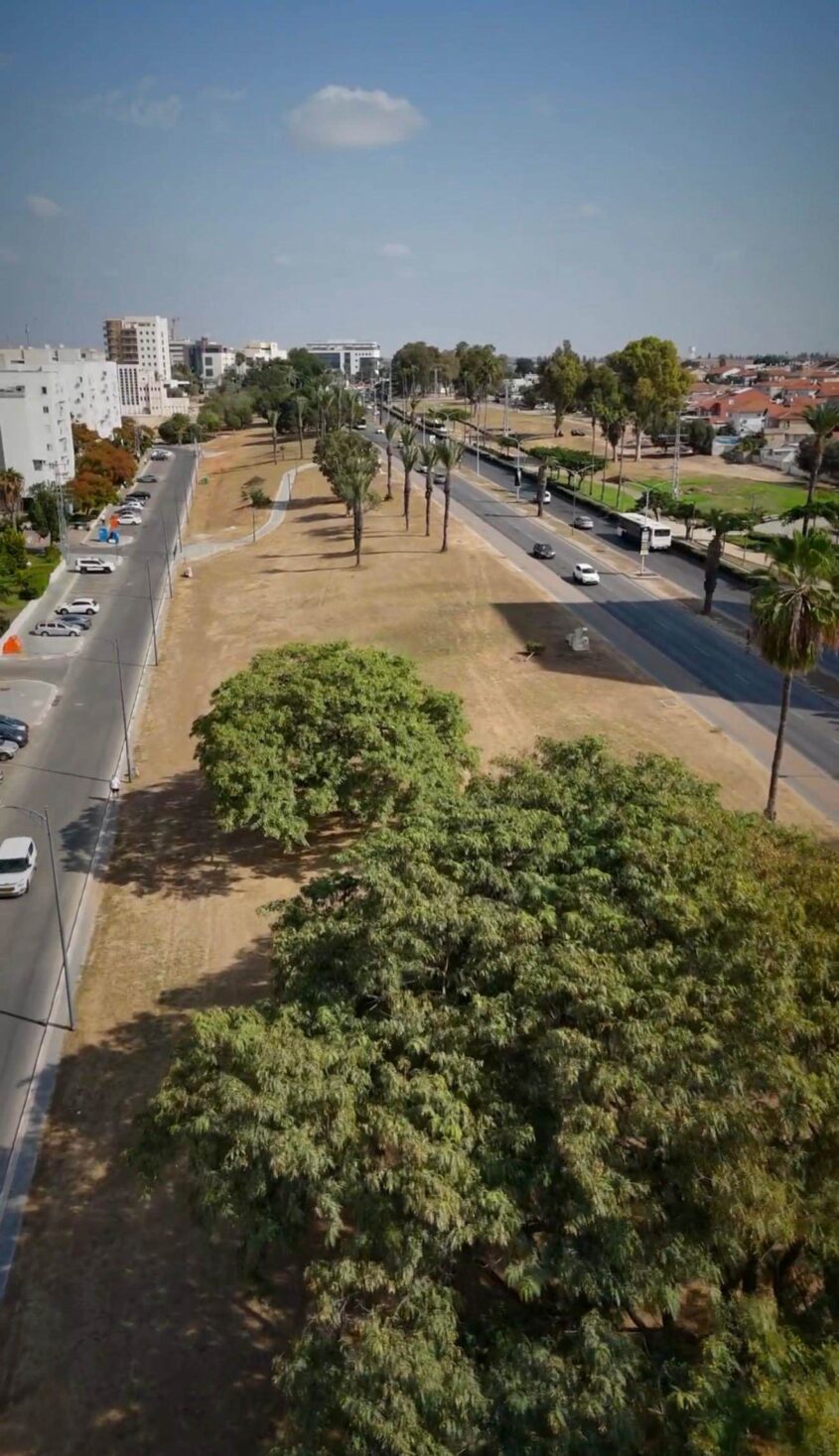 עבודות לחידוש פארק נאות אשקלון. צילום: אשר דיין