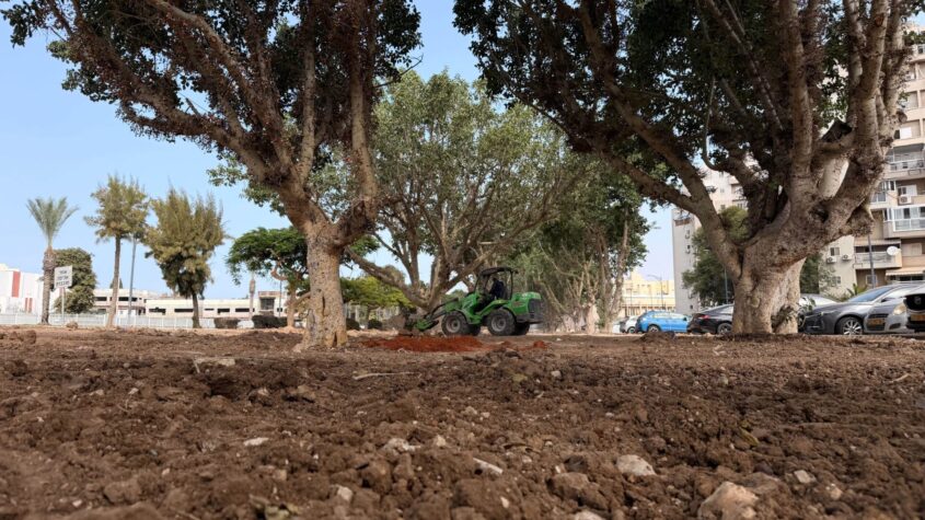 עבודות לחידוש פארק נאות אשקלון. צילום: אשר דיין